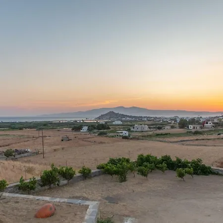 Naxian Pearl * מיקרי ויגלה