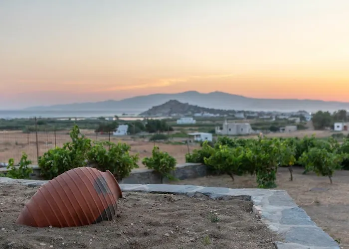 Naxian Pearl Apartamento Mikri Vigla