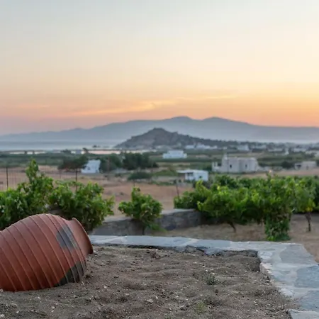 Naxian Pearl Apartmán Mikri Vigla